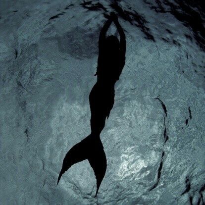 the silhouette of a mermaid swimming in water