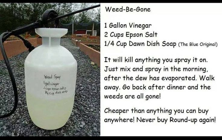 Dawn Dish Soap Weed Killer Epson Salt, Dawn Dish Soap, Yard Work, Lawn And Garden, Household Hacks, Lawn Care, Gardening Tips, Home Remedies, Vinegar