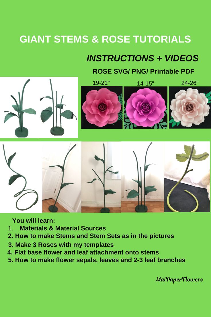 the instructions for how to make giant paper flowers