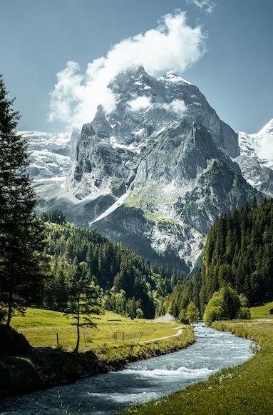 there is a mountain that has snow on it's top and some trees in the foreground