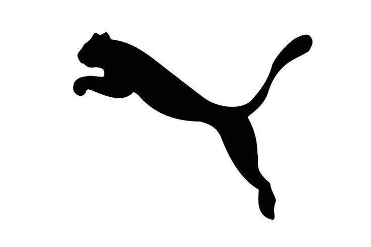 a black and white image of a cat leaping