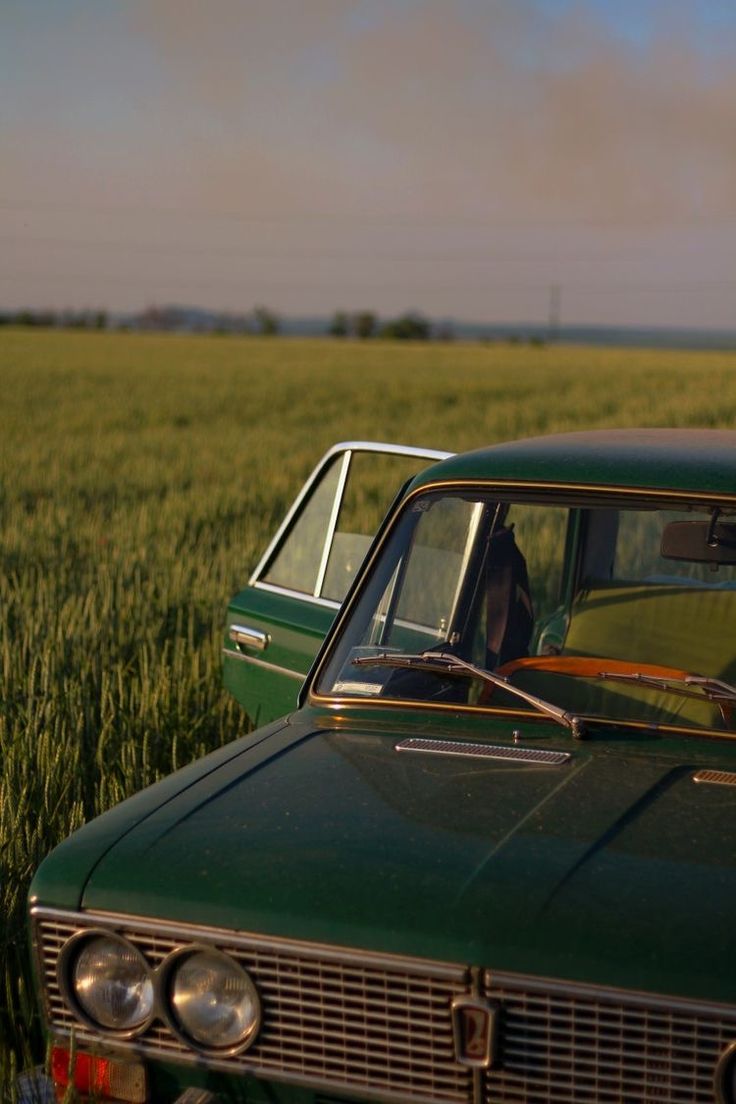 an old green car is parked in the middle of a wheat field near a cornfield