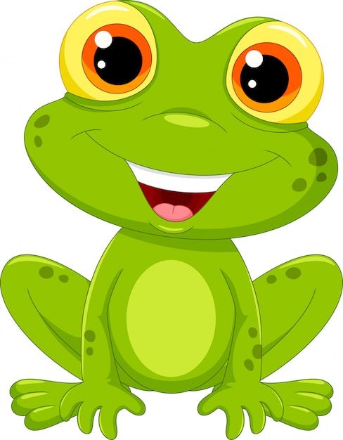 a green frog with big eyes sitting down