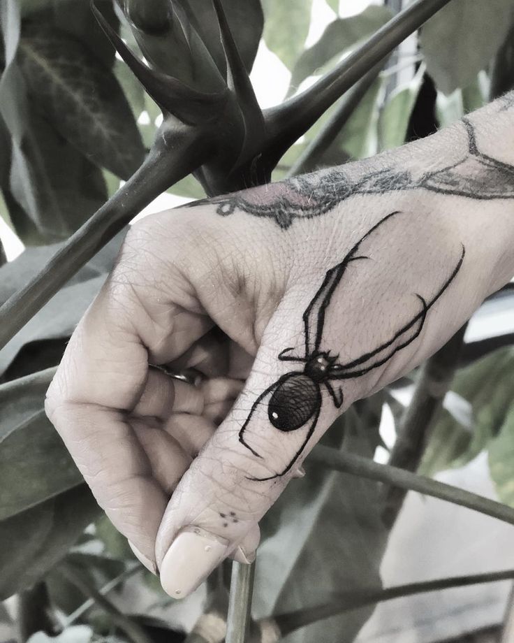 a person's hand with a spider tattoo on it, holding onto a plant