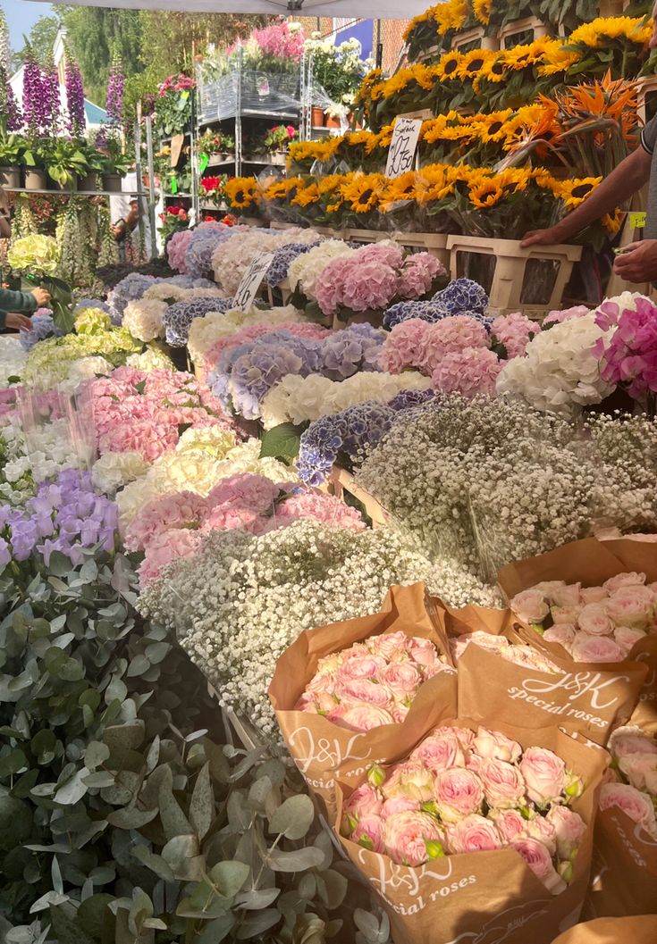 many different types of flowers on display at a flower shop