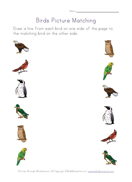 birds that are standing in the shape of a number line with different colors and sizes