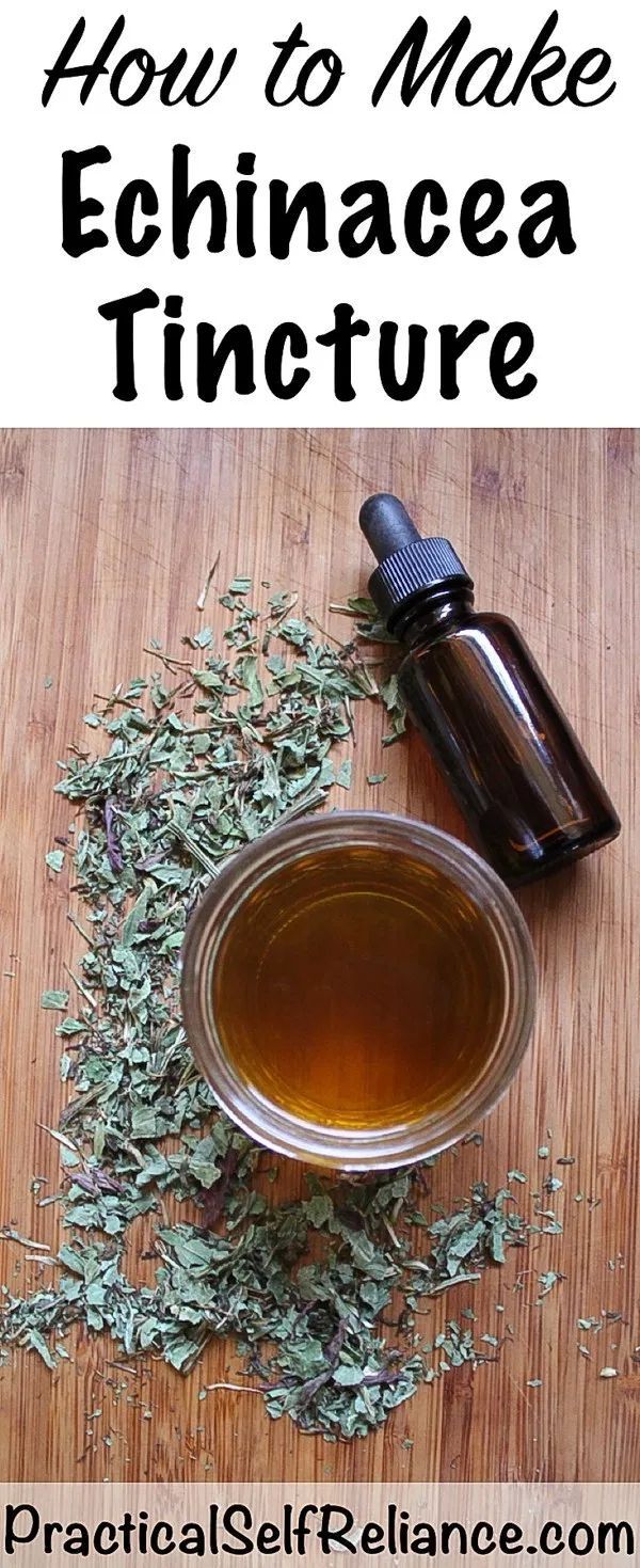 how to make echinacea tincture with essential oils and herbs on the table