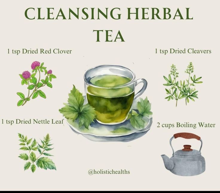 Witchy Recipes, Tea For Health, Medicinal Herbs Remedies, Hormone Nutrition, Herbal Education, Milk Tea Recipes, Herbal Remedies Recipes, Tea Drink Recipes, Witch Core