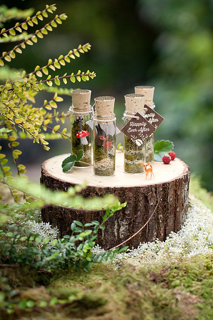 three glass bottles sitting on top of a tree stump