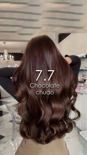 Dark Chocolate Brown Hair Espresso, Chocolate Dark Brown Hair, Medium Chocolate Brown Hair, Castaño Chocolate, Dark Chocolate Hair Color, Pelo Chocolate, Medium Chocolate Brown, Dark Chocolate Hair, Dark Chocolate Brown Hair