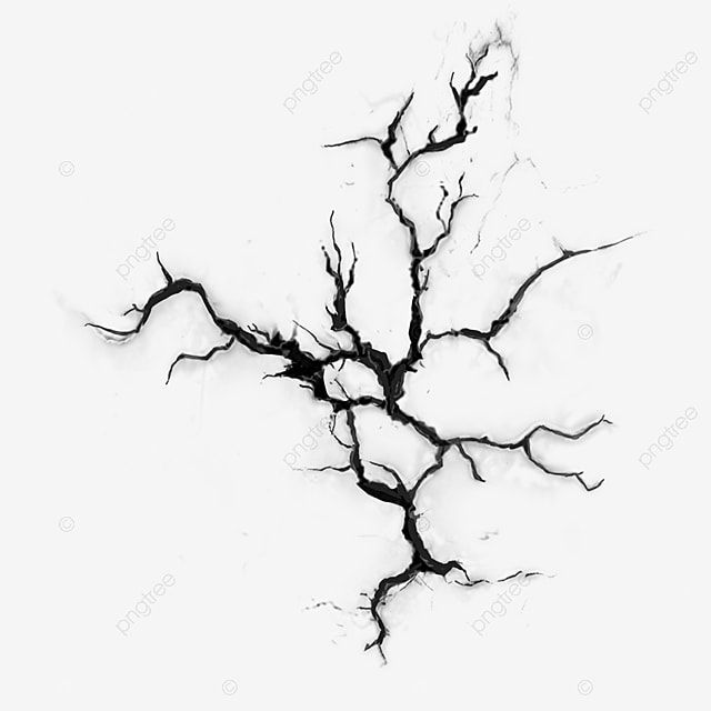 black and white tree branches with no leaves on the branch, silhouette, background png and psd