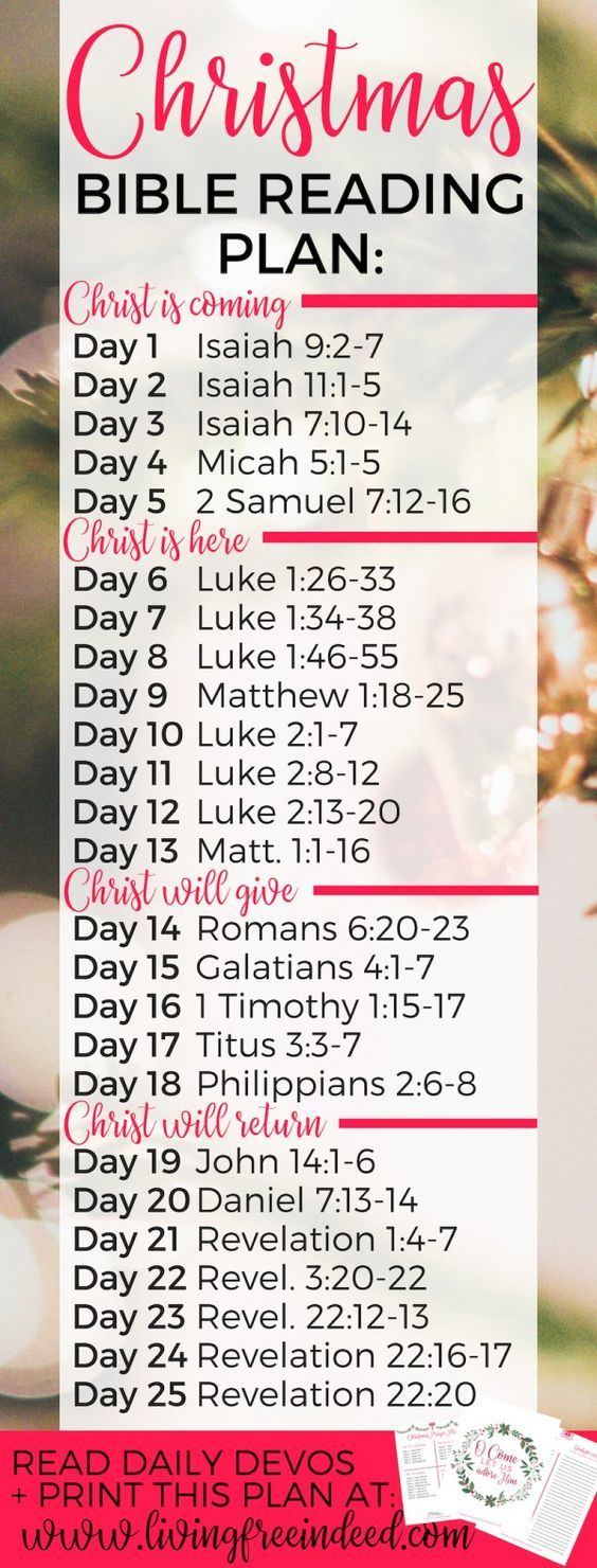 the christmas bible reading plan is shown in red and white, with pink lettering on it