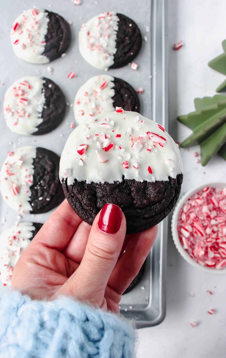 a person holding up a chocolate cupcake with white frosting and sprinkles