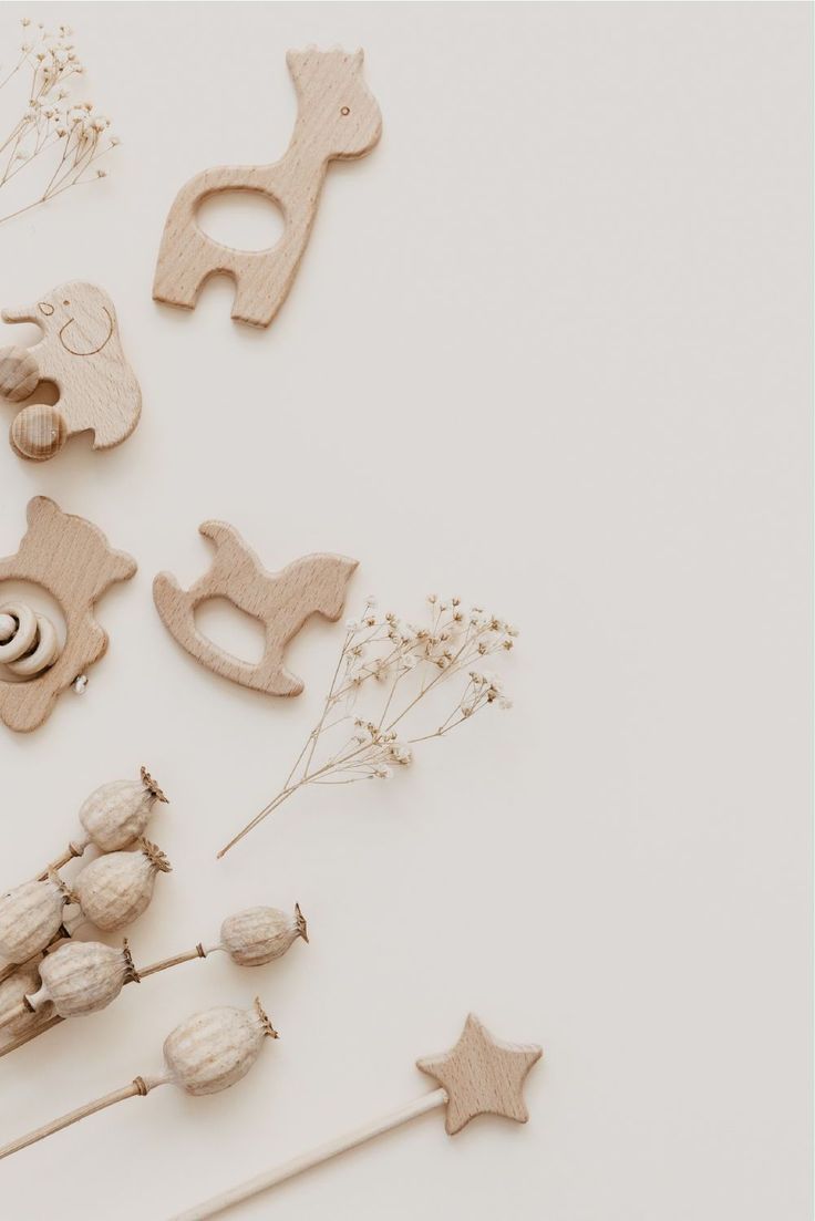 various wooden toys are arranged on a white surface with dried flowers and other items in the foreground