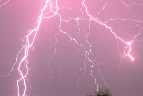 lightning strikes in the sky above trees