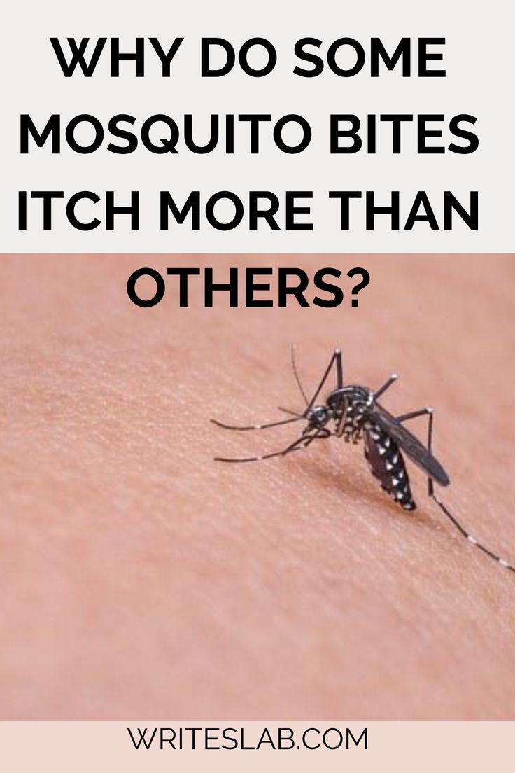 mosquito on the skin with text that reads, why do some mosquito bites it's more than others?