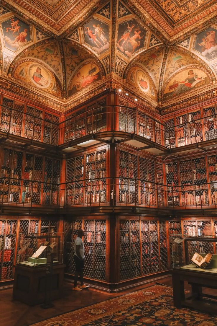 an ornate library with many bookshelves and paintings on the walls, along with a man standing in front of it