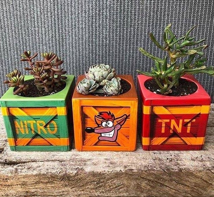 three wooden blocks with plants in them