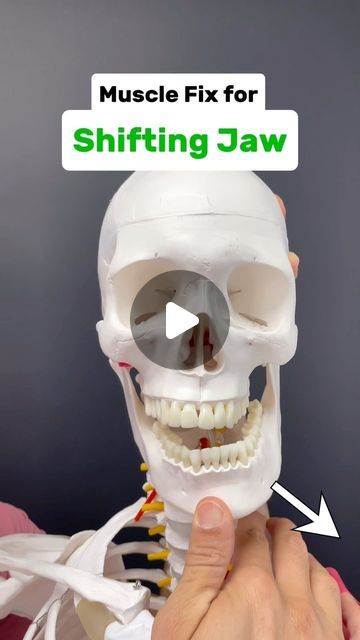 a human skeleton with the words muscle fix for shifting jaw on it's face