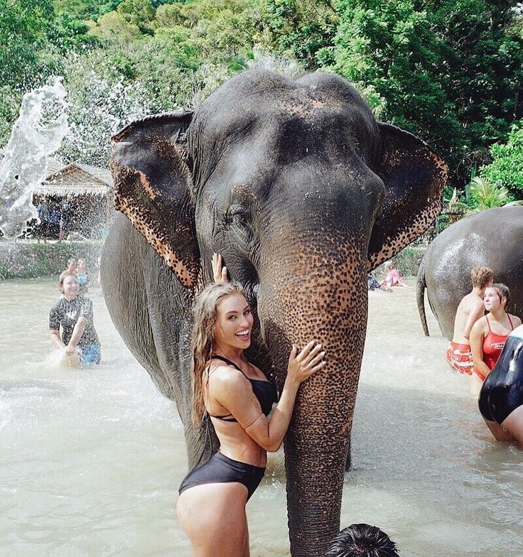 a woman in a bathing suit standing next to an elephant while others bathe in the water