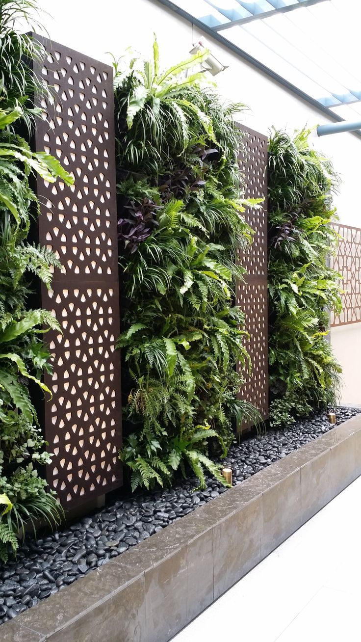 an outdoor living wall with plants growing on it