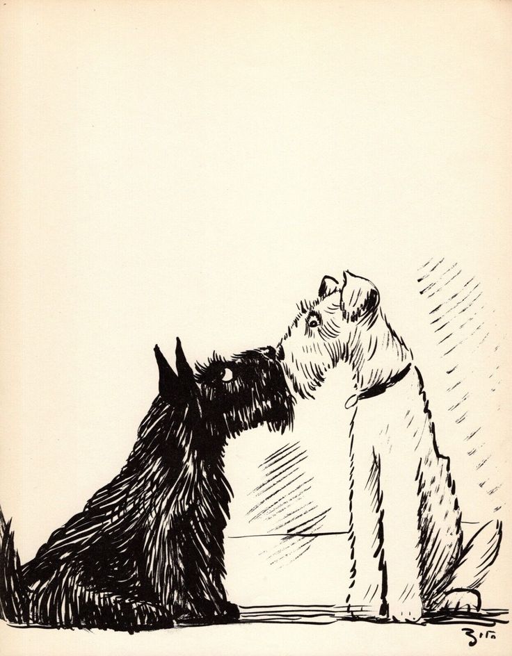 a black and white drawing of two dogs, one is kissing the other's head