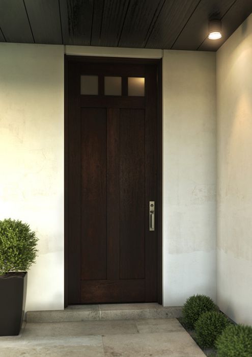 the front door to a house with two potted plants next to it and a light on