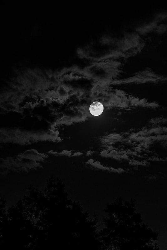 black and white photograph of the moon in the night sky with clouds above it, as well as trees below