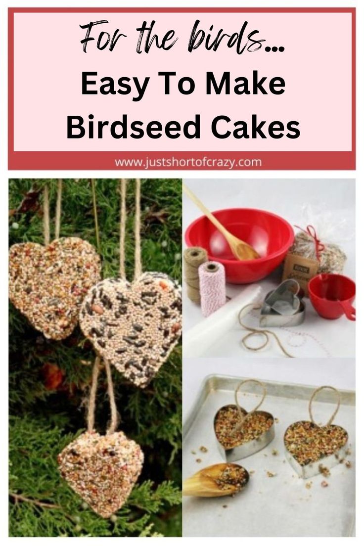 birdseed cake recipe with the words easy peasy bird seed cakes