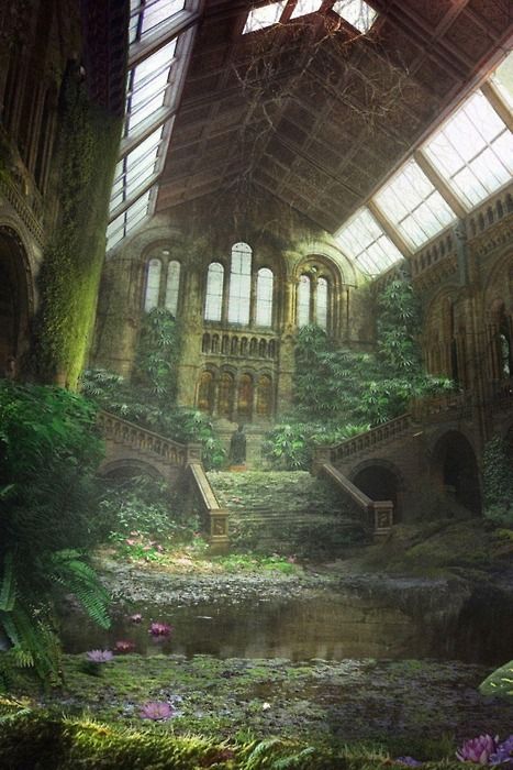 the inside of an old building with lots of windows and plants growing on the walls