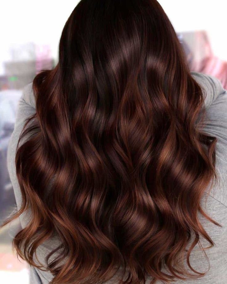 Dark Brown Autumn Hair, Subtle Copper Highlights On Brown Hair, Chocolate Brown Hair With Red Tint, Dark Brown Copper Hair Color, Dark Reddish Brown Hair Color, Red Toned Brown Hair, Subtle Red Highlights In Brown Hair, Brown Hair With Auburn Highlights, Dark Copper Brown Hair