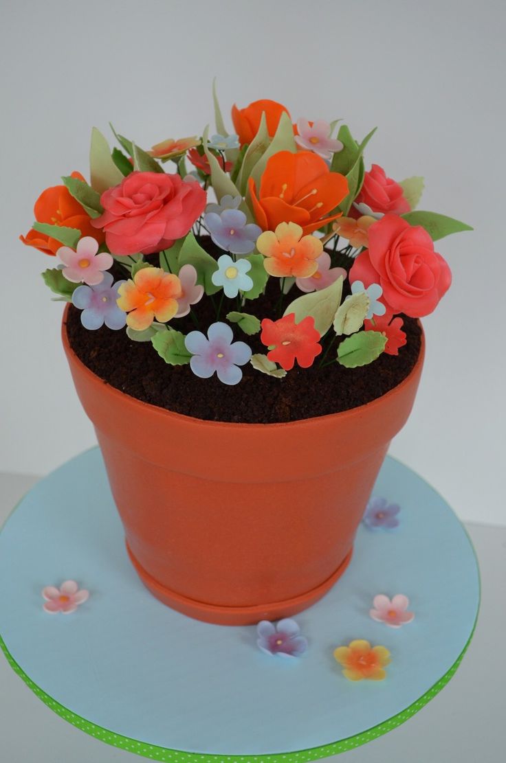 there is a potted plant with flowers in it on top of a blue plate