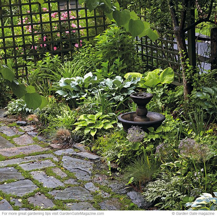 a garden with lots of green plants and stone walkway leading to a fenced in area