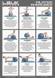 an exercise poster showing how to do exercises for the lower back and upper body muscles