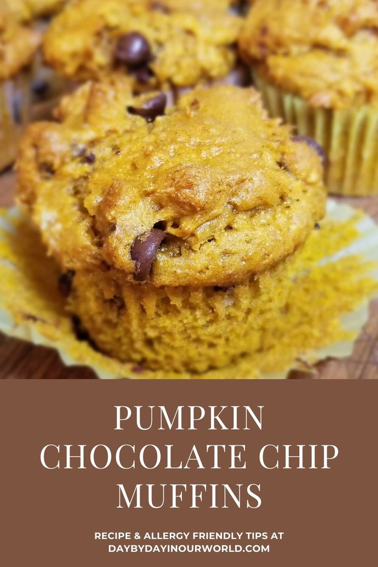 pumpkin chocolate chip muffins with text overlay