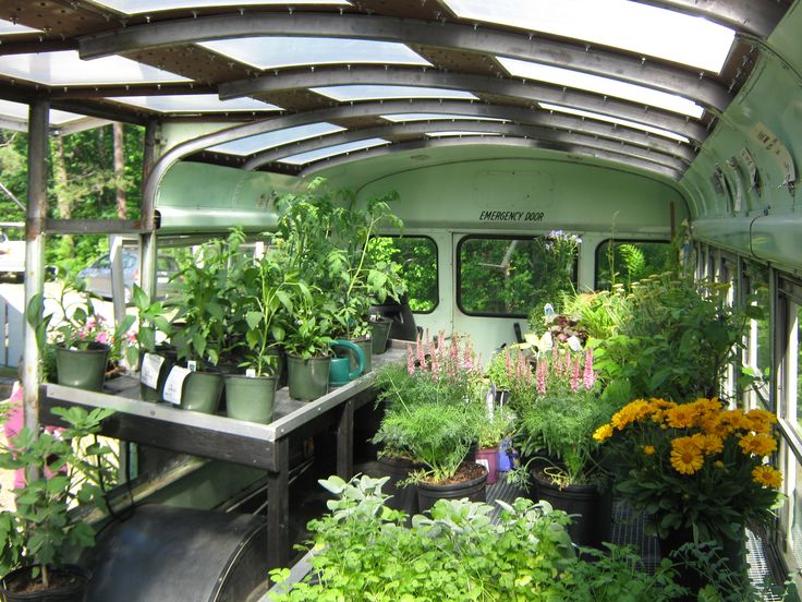 the inside of a greenhouse with lots of plants and potted plants on it's sides