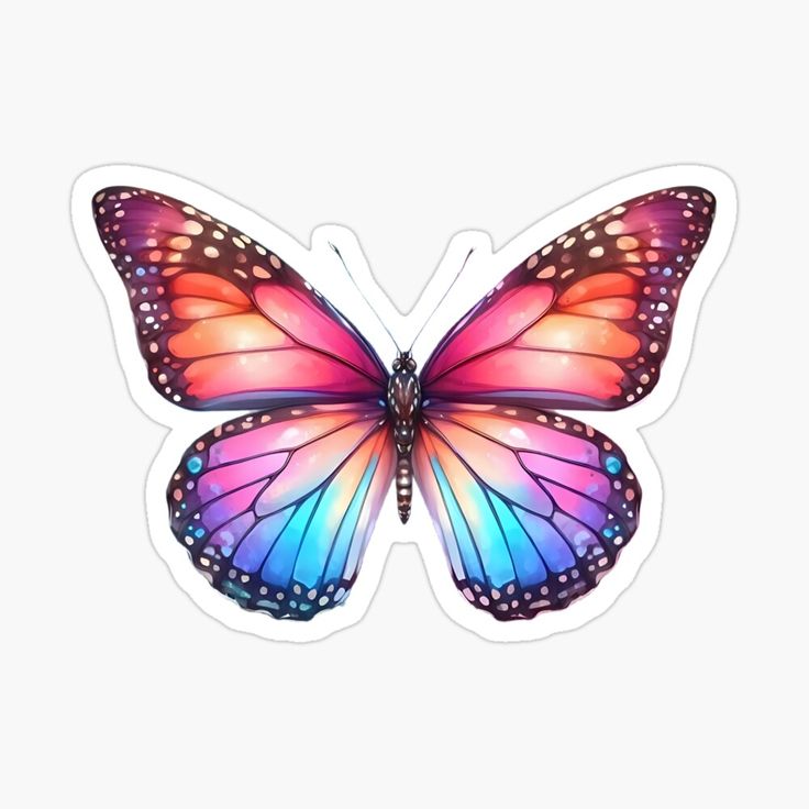 a colorful butterfly sticker on a white background