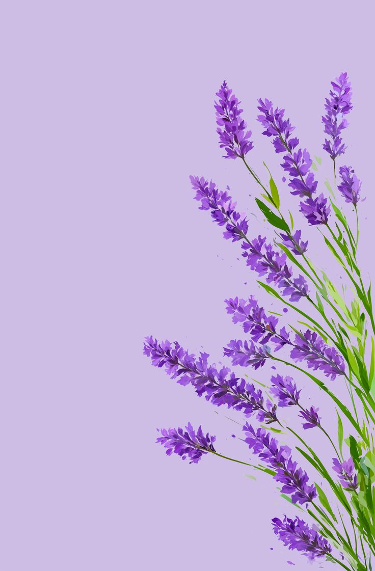 purple flowers against a light purple background