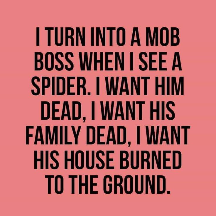 a quote that says i turn into a mob boss when i see a spider