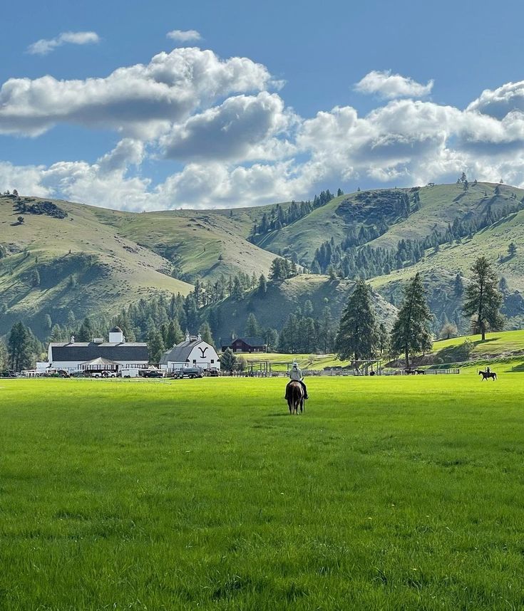 two horses grazing in a large field with mountains in the backgrouds and clouds in the sky