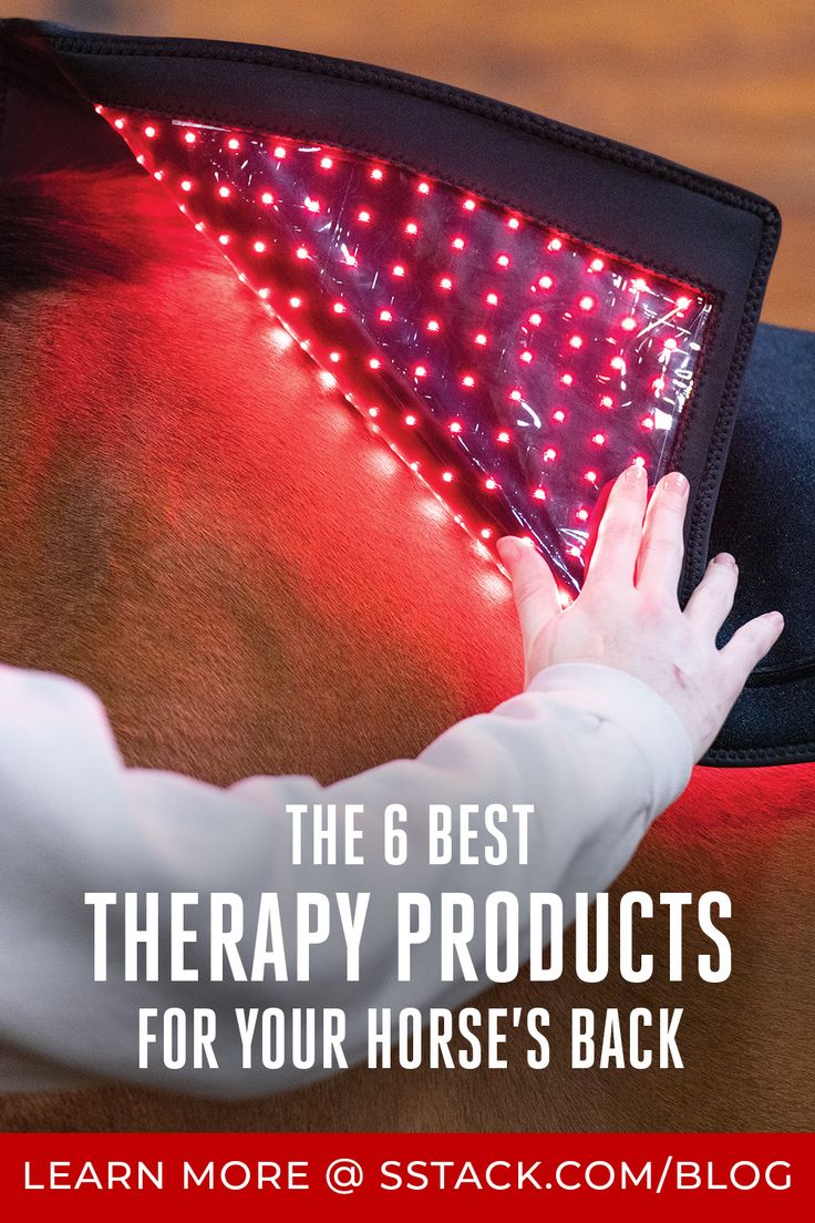 a horse's back with the text, the 6 best therapy products for your horse's back