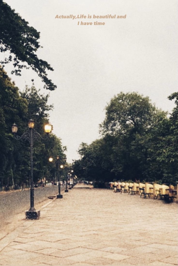 an empty street with benches and lamps on either side, surrounded by trees in the distance