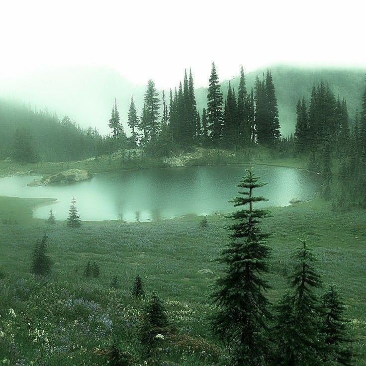 a small lake surrounded by trees in the middle of a green field and foggy sky