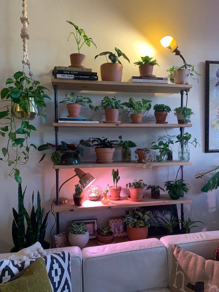 a living room filled with lots of potted plants next to a wall mounted shelf