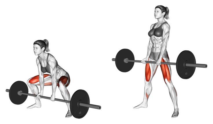 a woman doing squat exercises with barbells