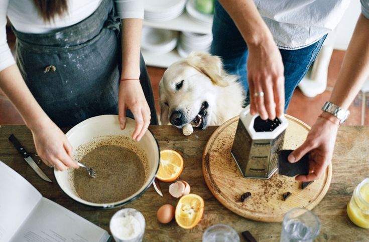 two people and a dog preparing food on a table