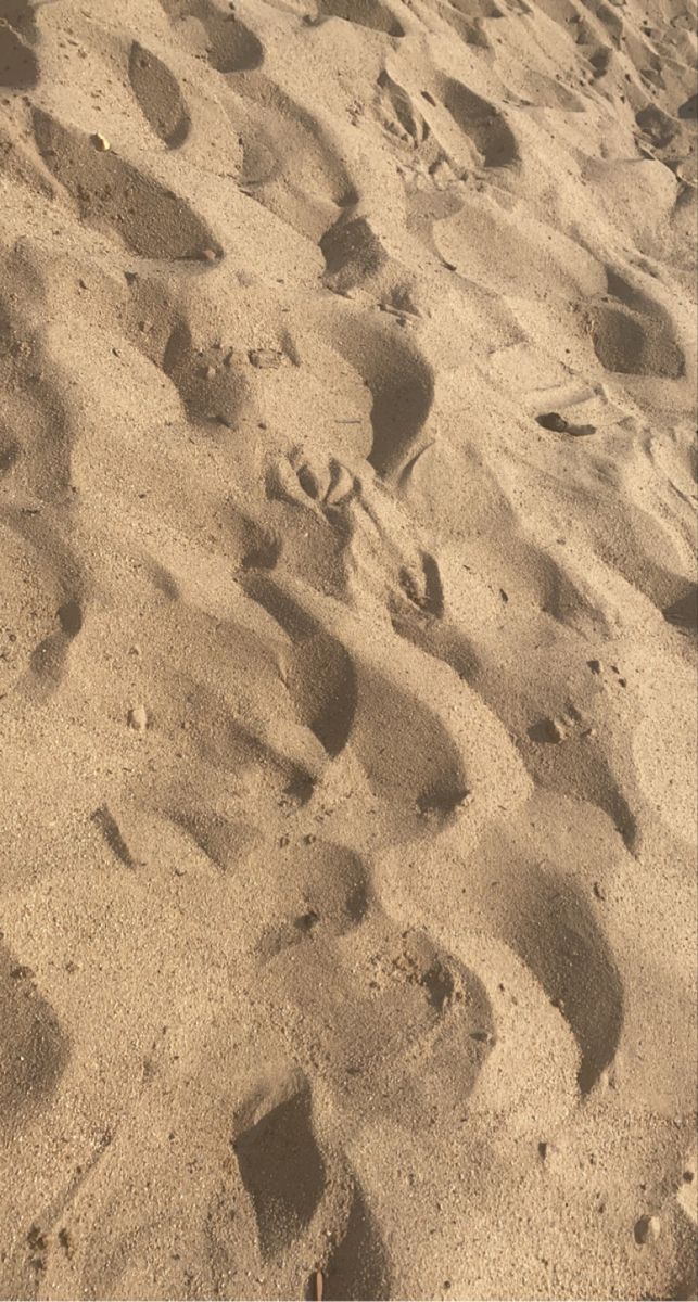 there are footprints in the sand on this beach