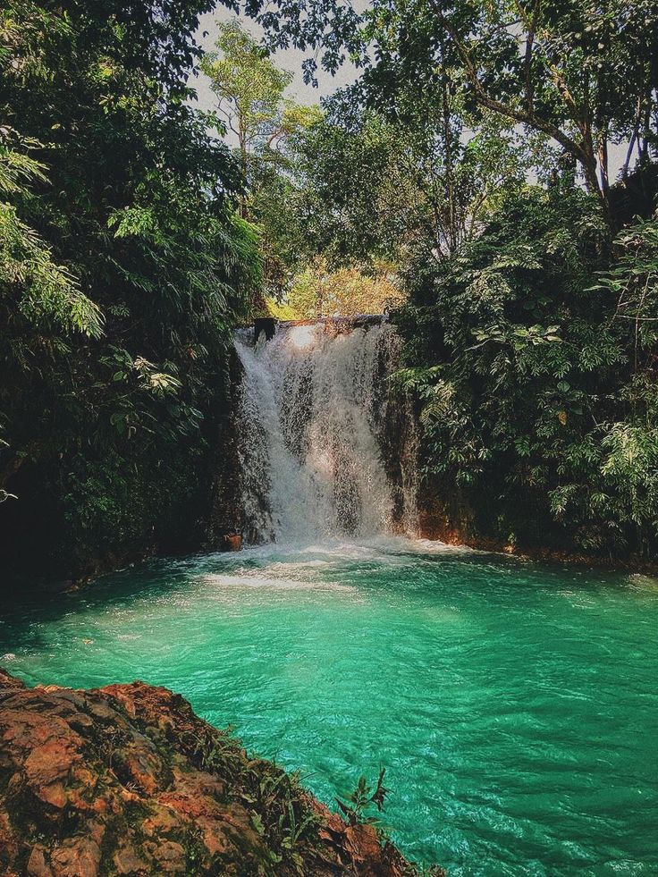 there is a waterfall in the middle of some trees and blue water that has green algae growing on it