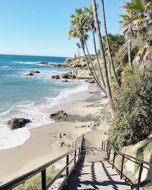 stairs lead down to the beach with palm trees