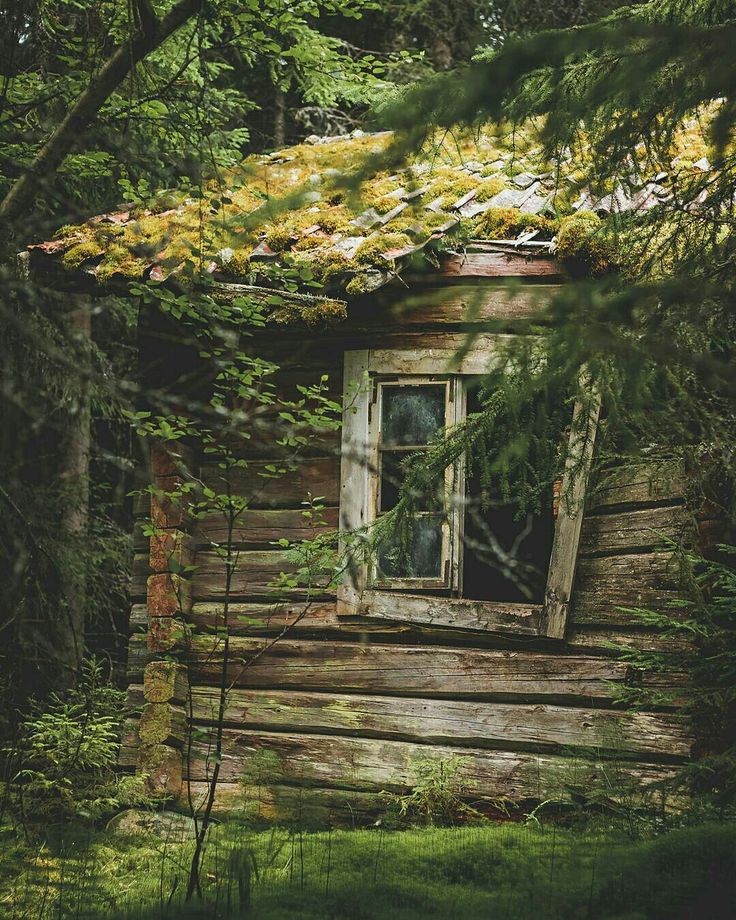 an old log cabin with moss growing on the roof